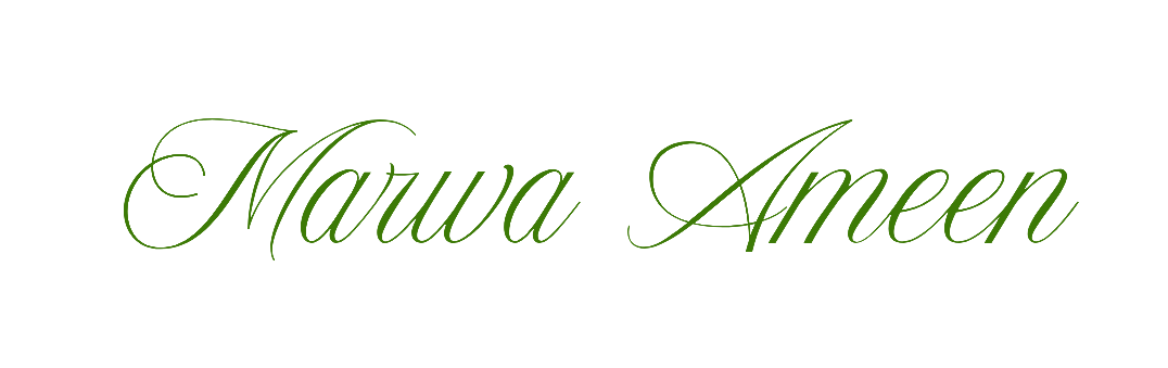 Marwa Ameen Art